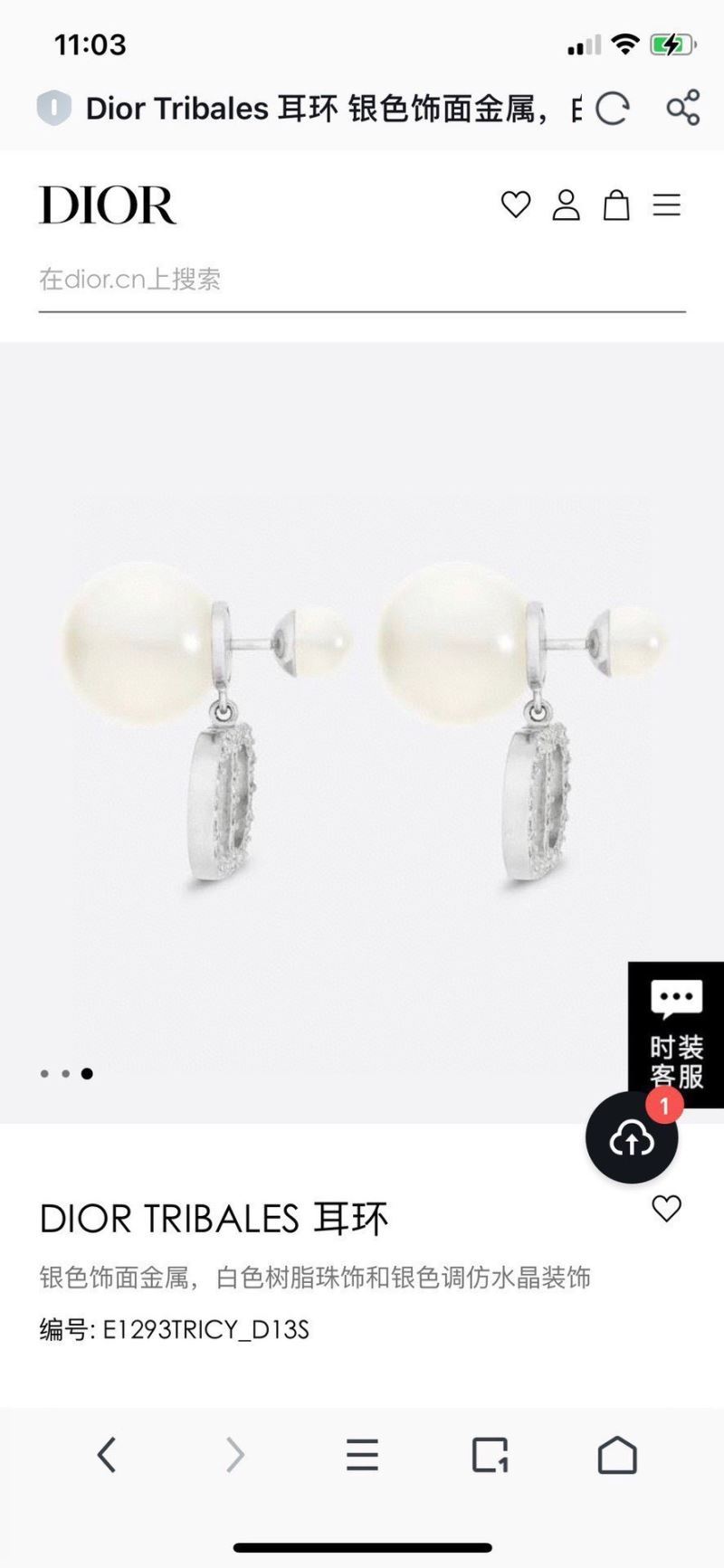 Christian Dior Earrings